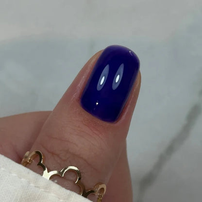 Builder Gel BBIO " Didier Lab", Blueberry, 15ml