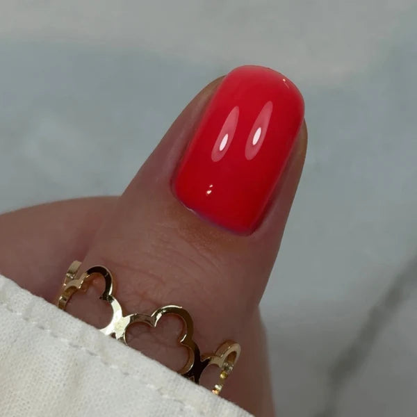 Builder Gel BBIO "Didier Lab", Love Red , 15ml