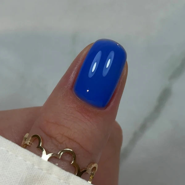 Builder Gel BBIO "Didier Lab" Rich Blue 15ml