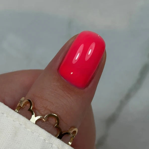 Builder Gel BBIO "Didier Lab" Rose Life 15ml