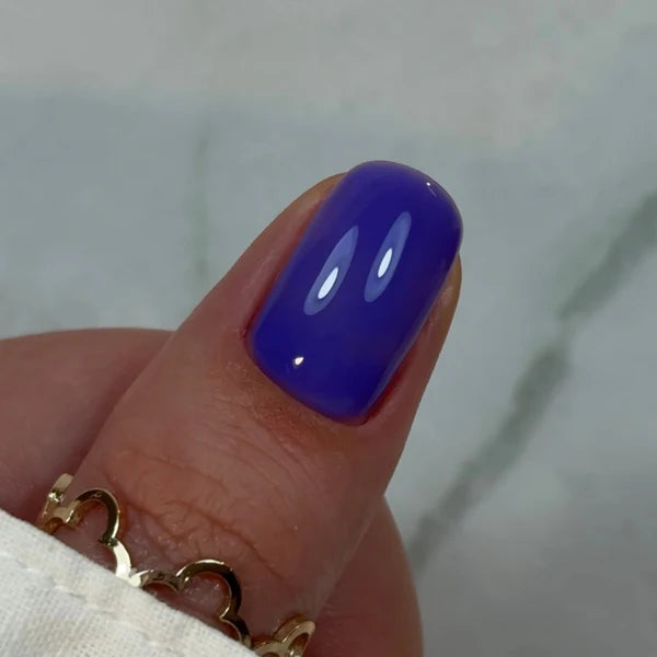 Builder Gel BBIO "Didier Lab" Violet Iris, 15ml