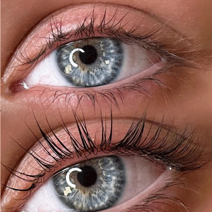 Επαγγελματικό Kit Ανύψωσης Βλεφαρίδων Lash Lift Didier Lab Esthétique