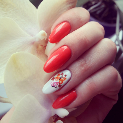 Τζελ Νυχιών Studios Didier - constellation, 8ml